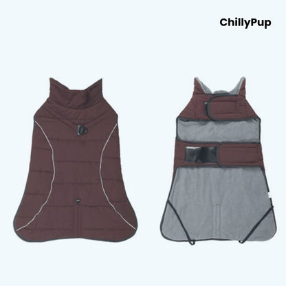 Dog coat showing both sides with Chillypup branding on a white background