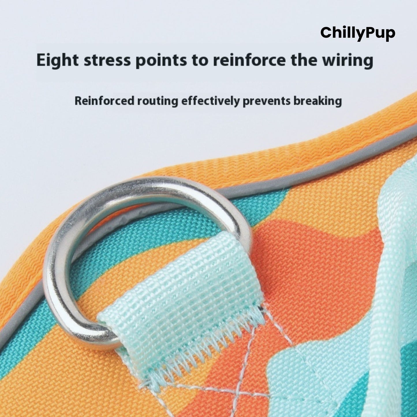 Close-up of a colourful dog leash with a metal ring and text about stress points and wiring reinforcement, branded 'ChillyPup'.