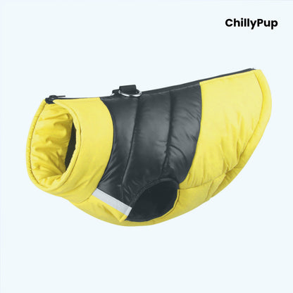 Padded dog coat with zip and D ring on a white background with ChillPup branding.