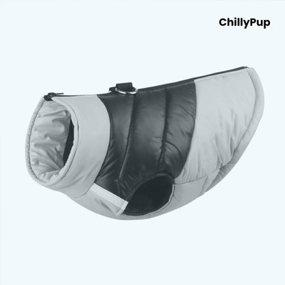 Padded dog coat with zip and D ring on a white background with ChillPup branding.