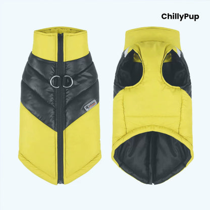 Padded dog coat with zip and D ring on a white background with ChillPup branding.