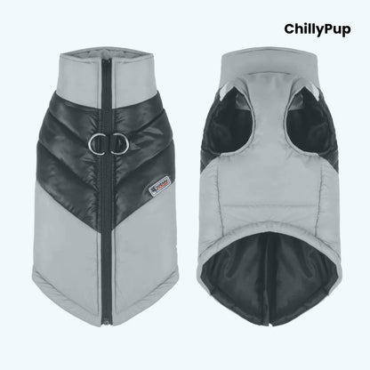 Padded dog coat with zip and D ring on a white background with ChillPup branding.