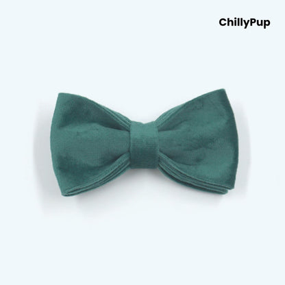 Velvet Dog Collar, Harness & Lead Set on a white background with Chillypup branding