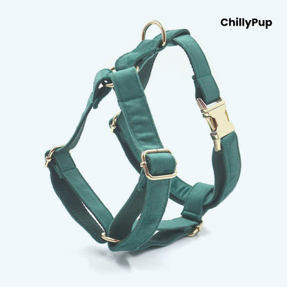 Velvet Dog Collar, Harness & Lead Set on a white background with Chillypup branding