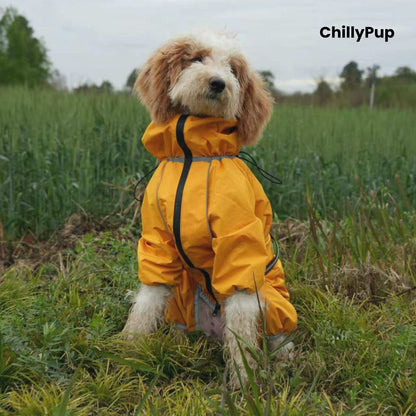 Dog wearing the Cloudburst Belly-Zip Dog Suit in Yellow in a field